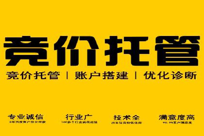 竞价推广SEM托管：提升广告效果的实战案例
